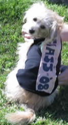 Bhoti, Class of '08